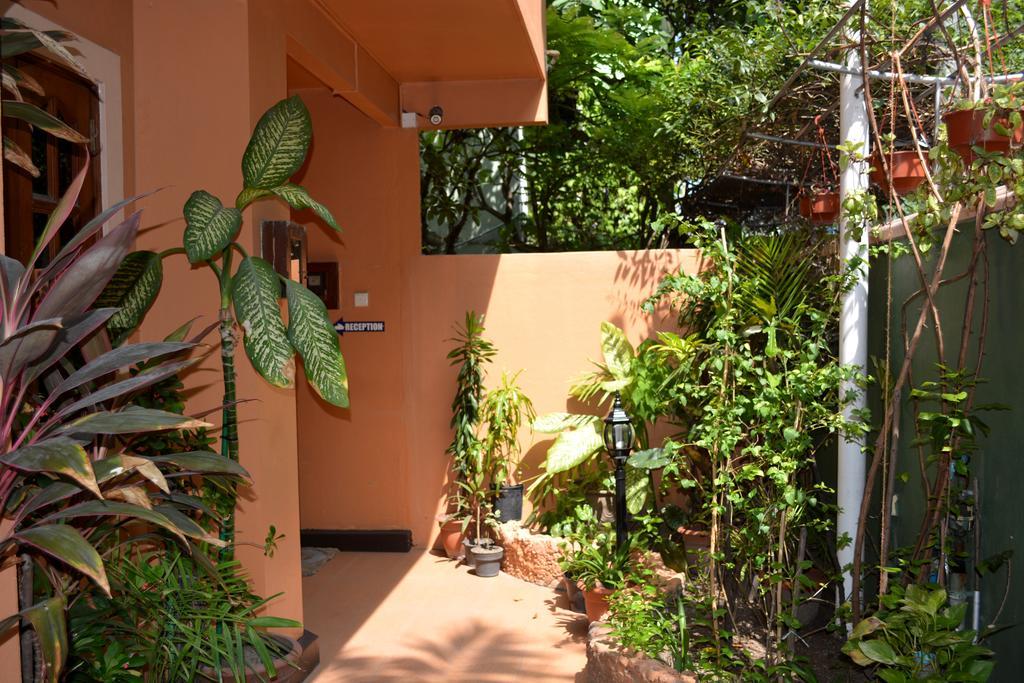 Skai Lodge Malé Exterior foto